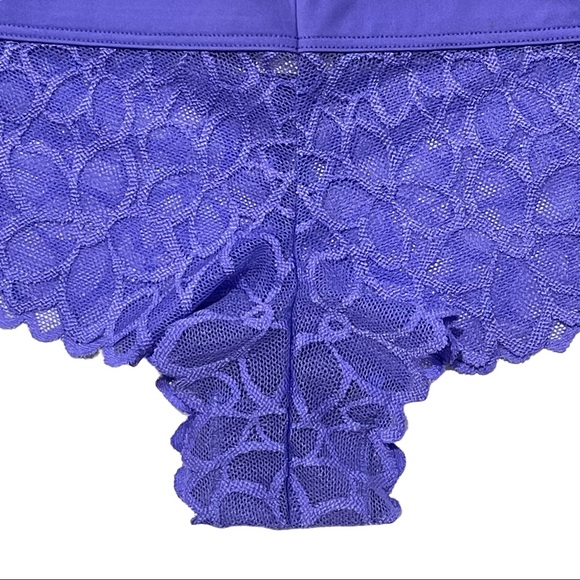 VS PINK 2016 Vintage Extra Low Rise Cheekster Semi-sheer Mesh Floral Print Panty - Picture 11 of 16